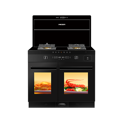 飞龙T蒸烤炸炖款